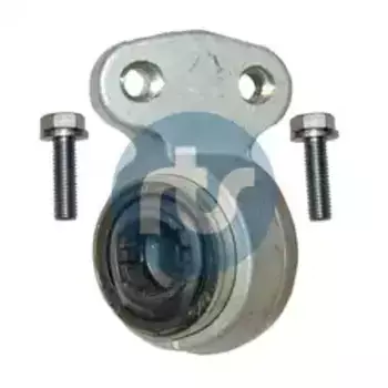 сайлентблок передн. рычага лев.! с болтами\ BMW E46 1.6i-3.0i/1.8D-3.0D 98> 017-09597-256 RTS