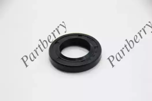 САЛЬНИК 1800/3000x550/600 ТИП 1PM PB563568 PARTBERRY