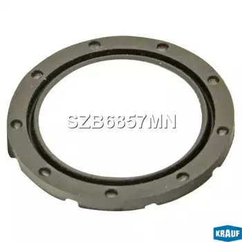 сальник! 30x38x2.6\ SZB6857MN KRAUF