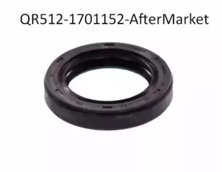 САЛЬНИК ДИФФЕРЕНЦИАЛА QR512-1701152 CHERY / EXEED