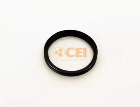 сальник!\ SCANIA