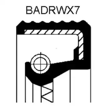 сальник ступ. ! \ 80x95x8 DAF, Iveco, RVI, Volvo, MAN 070 134 86B CORTECO