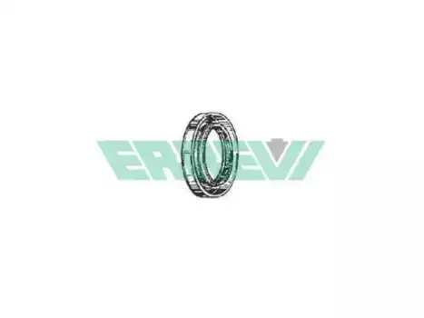 сальник ступицы !75x100x10 \Scania 730772 ERREVI