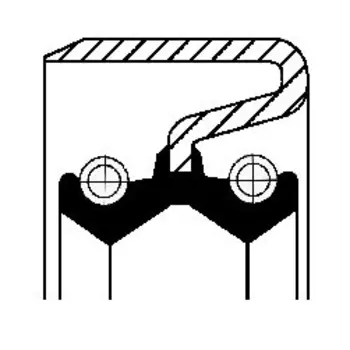 сальник ступицы !передн 50x62x2 \IVECO 12015147B CORTECO