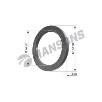 сальник ступицы !задн.внешний 74.5x100x14/10 \SCANIA 100036 MANSONS
