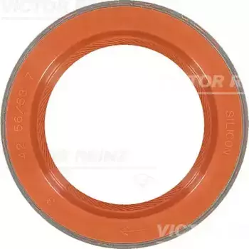 САЛЬНИК ВАЛА / 81-35876-00 VICTOR REINZ