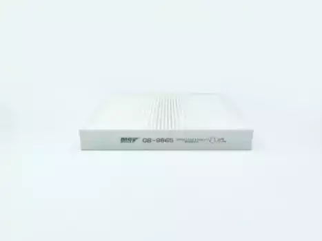 Салонный фильтр BIG FILTER GB9865 FAW Besturn B50, Besturn X80 MAZDA 2 (DY), 6 (GG), 6 (GH), Atenza (GG), CX-7 (ER), Demio (DY)
