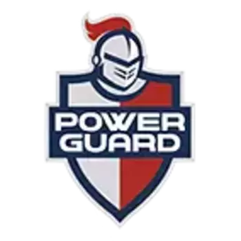 Салонный фильтр POWERGUARD PG3613