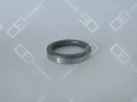 седло клапана! EX 48.1x40.1x8 R6 d128\ MAN D2866/2876 02 0123 280004 OE GERMANY