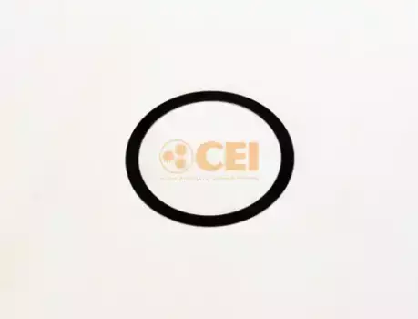 шайба компенсационная! \MAN 269924 CEI