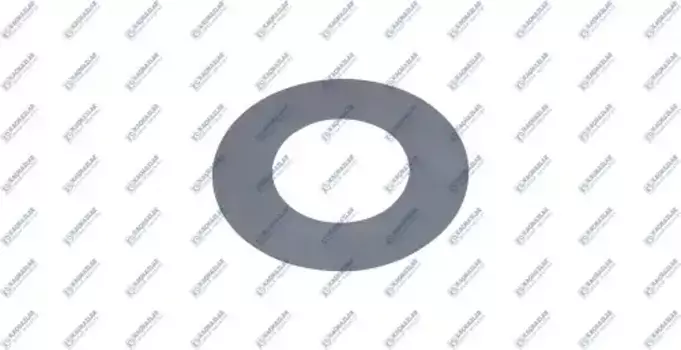 шайба КПП! D = 0.25 mm\SCANIA K06.02587 KACMAZLAR