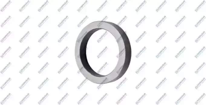 шайба КПП! пальца сателлита\MAN K2001516 KACMAZLAR