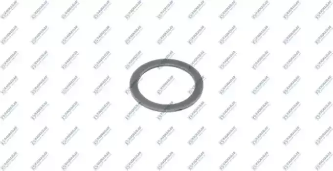 шайба!\MAN K20.01509 KACMAZLAR