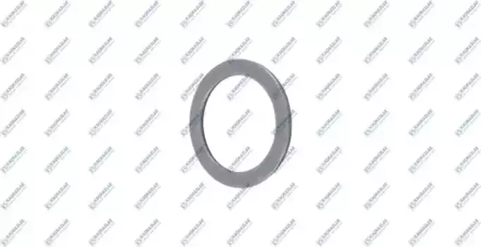 шайба трансмиссии! КПП сателита планетарной передачи T2.30 \ZF 16S181/16S221/16S К20.01515 KACMAZLAR