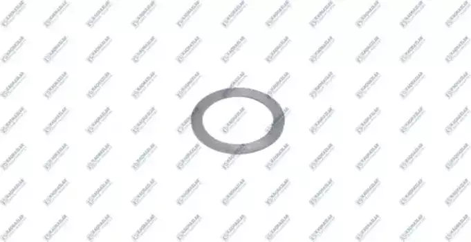 шайба трансмиссии! шестерни планет.передачи 1.00mm \ZF 5S-110GP/111GP/5K-110GP/16S-112 K20.01512 KACMAZLAR