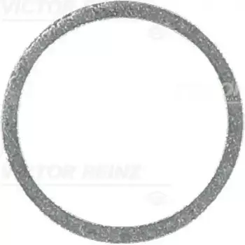 шайба универсальная! 24.0x20.0x1.5\ 41-71062-00 VICTOR REINZ