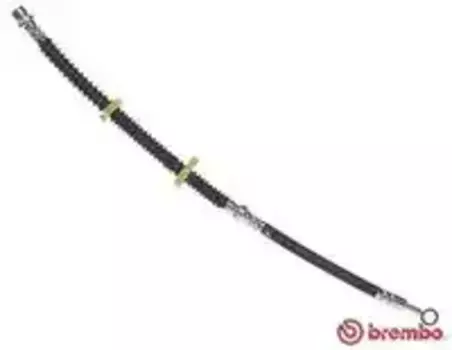 Шланг тормозной перед RR 02-, T44031 BREMBO
