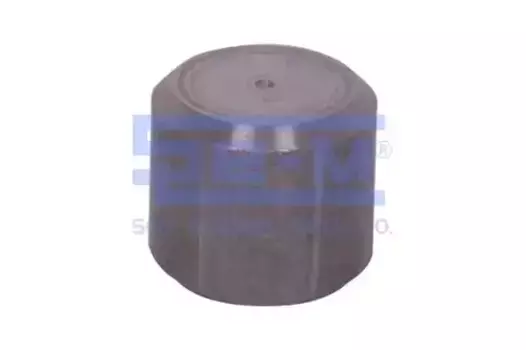 штифт центровочный! рессоры D=24 L=22\ BPW 15594 SE-M