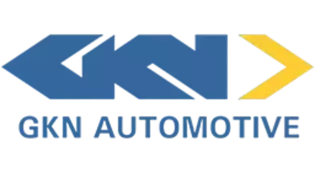 Смазка пластичная GKN 300281 0.08 кг