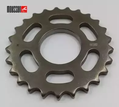 SRC30DEA896J Звезда ГРМ VAG 2,4/2,5/3,2 MOUSSON