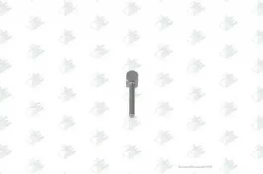 сухарь синхронизатора! 3x \ZF 16S150/151/220 6S36/66/80/90 95570574 EURORICAMBI