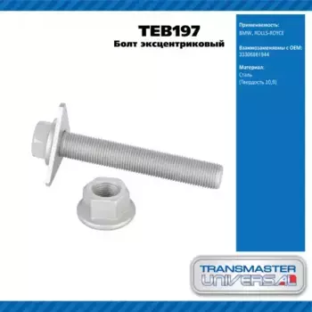 TEB197 Болт заднего рычага TRANSMASTER