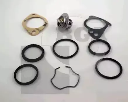 Термостат системы охлаждения BGA CT5519K