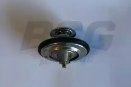 Термостат системы охлаждения BSG BSG 15-125-001