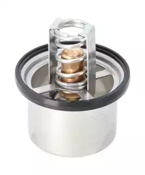 Термостат системы охлаждения DT 2.15071