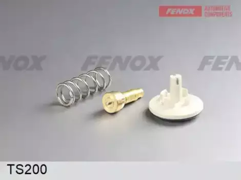 Термостат системы охлаждения FENOX TS200