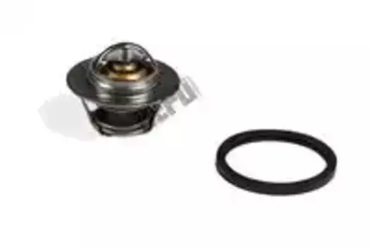 Термостат системы охлаждения HEPU TM1001