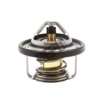 Термостат системы охлаждения HEPU TM1276