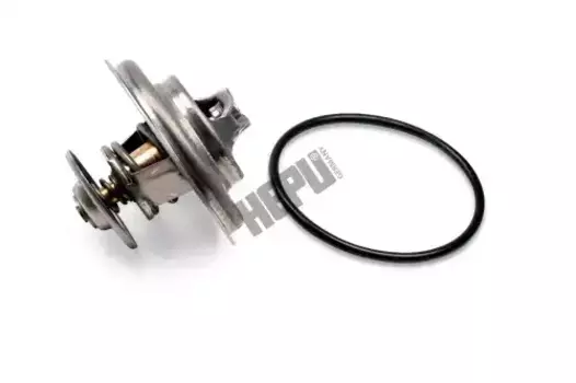 Термостат системы охлаждения HEPU TM1295