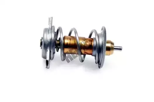 Термостат системы охлаждения HEPU TM1299