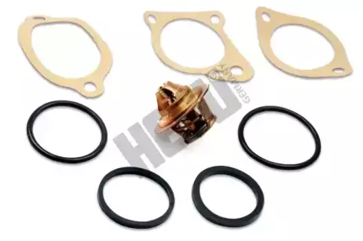 Термостат системы охлаждения HEPU TM1304