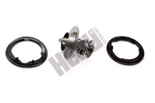 Термостат системы охлаждения HEPU TM1317