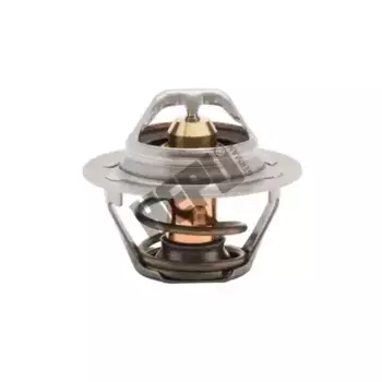 Термостат системы охлаждения HEPU TM1320