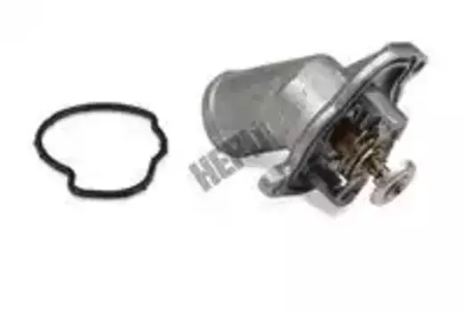 Термостат системы охлаждения HEPU TM1343