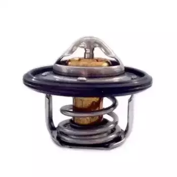 Термостат системы охлаждения MEAT & DORIA 92684