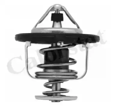 Термостат системы охлаждения VERNET TH6948.82J