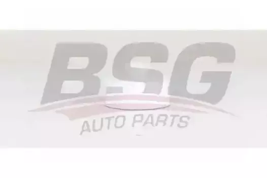 Топливный фильтр BSG BSG 15-130-008 Land Rover Range Rover 3.0/3.6TD 06>