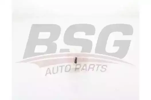 Топливный фильтр BSG BSG 40-130-024 Hyundai Solaris