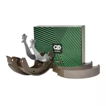 Тормозные колодки барабанные PILENGA BS-P 1143