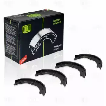 Тормозные колодки барабанные TRIALLI GF 1565