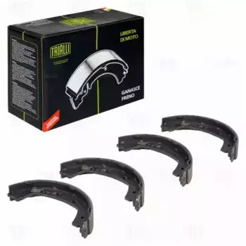Тормозные колодки барабанные TRIALLI GF 4621