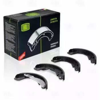 Тормозные колодки барабанные задняя ось TRIALLI GF 2103