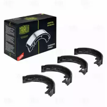 Тормозные колодки барабанные задняя ось TRIALLI GF 110102