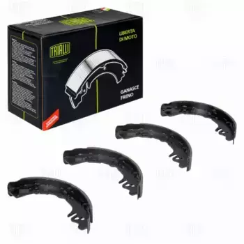 Тормозные колодки барабанные задняя ось TRIALLI GF 4573