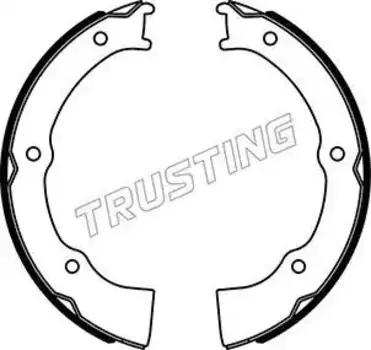 Тормозные колодки барабанные задняя ось TRUSTING 046.229