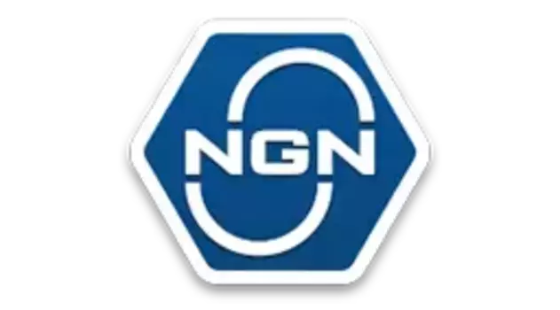 Тормозные колодки дисковые NGN 3502640